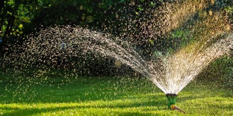 Sprinkler Head Leaking When Off: The Common Causes and。